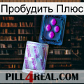 Пробудить Плюс 37